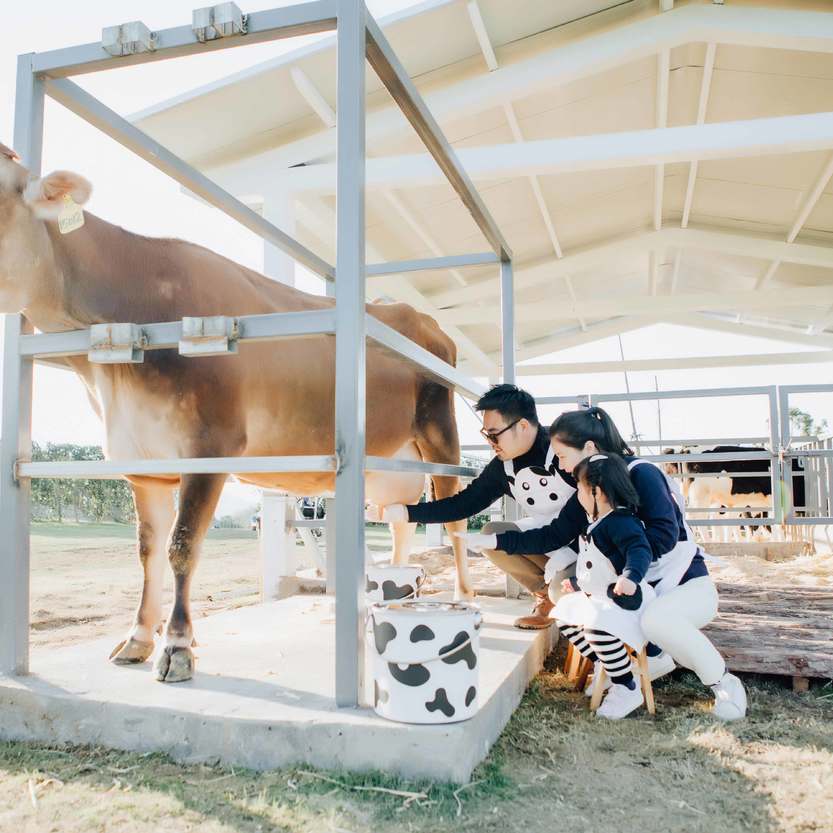 亲牛园-(2) 亲牛园-(2)