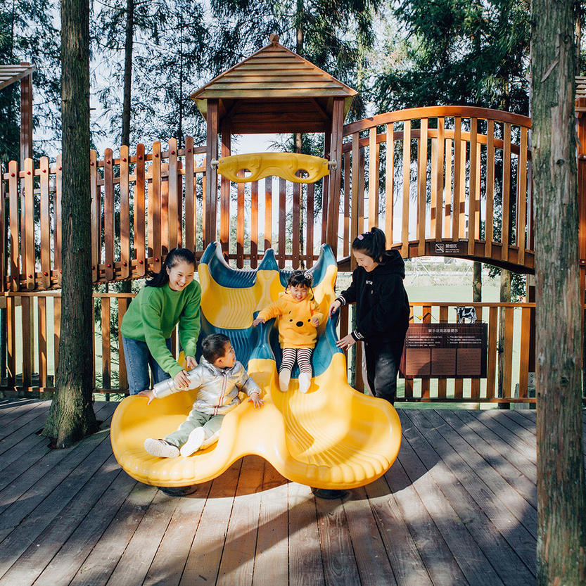 杉树林游乐区 杉树林游乐区
