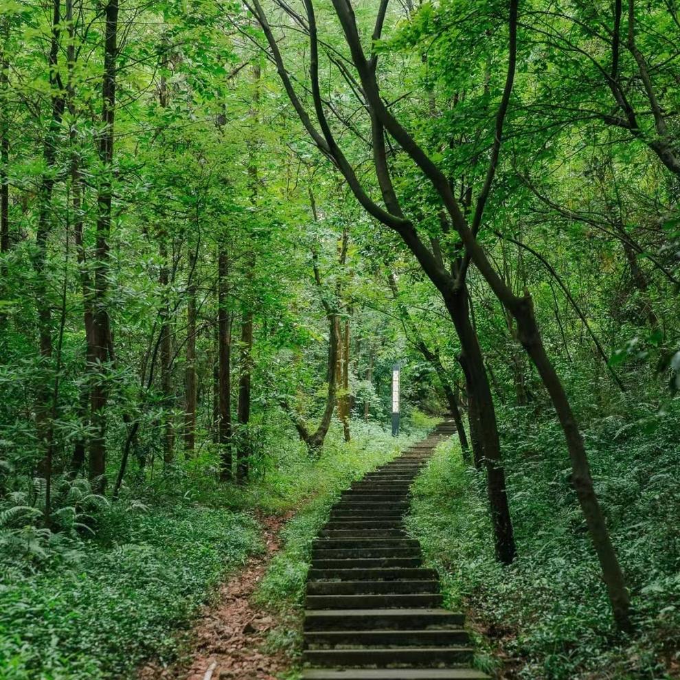 烂柯山 烂柯山