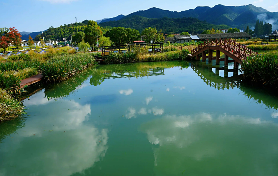 湿地公园