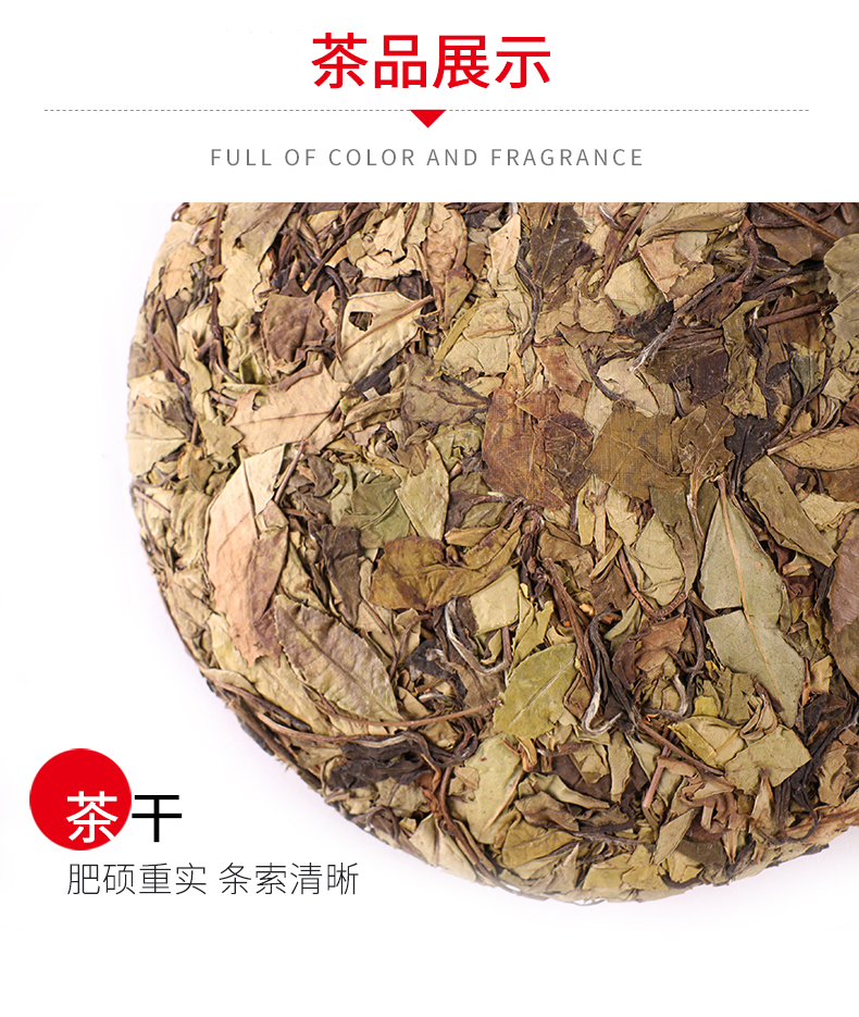 老白茶_12