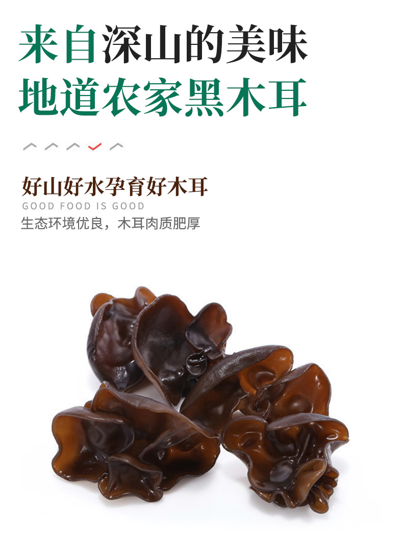 黑木耳_02