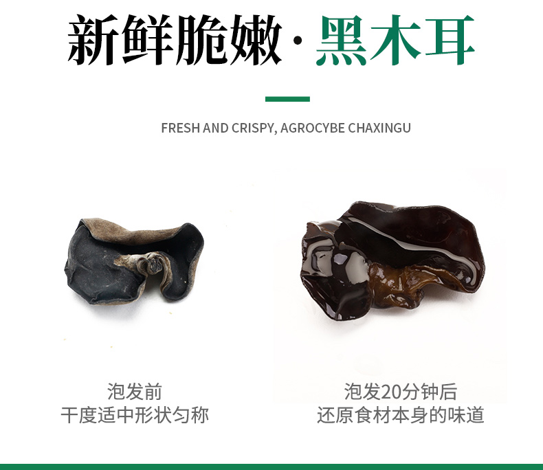 黑木耳_10