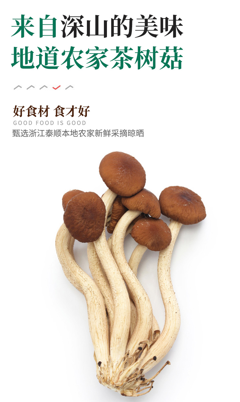 茶树菇_02