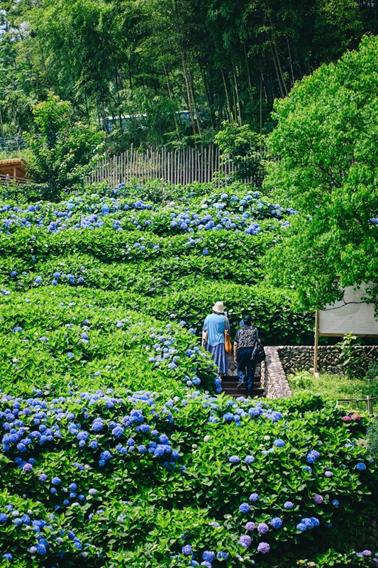 压缩过的筱村10