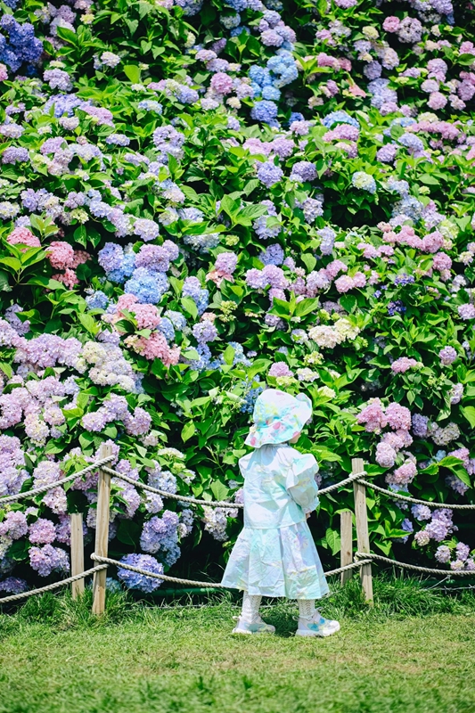 压缩过的筱村19